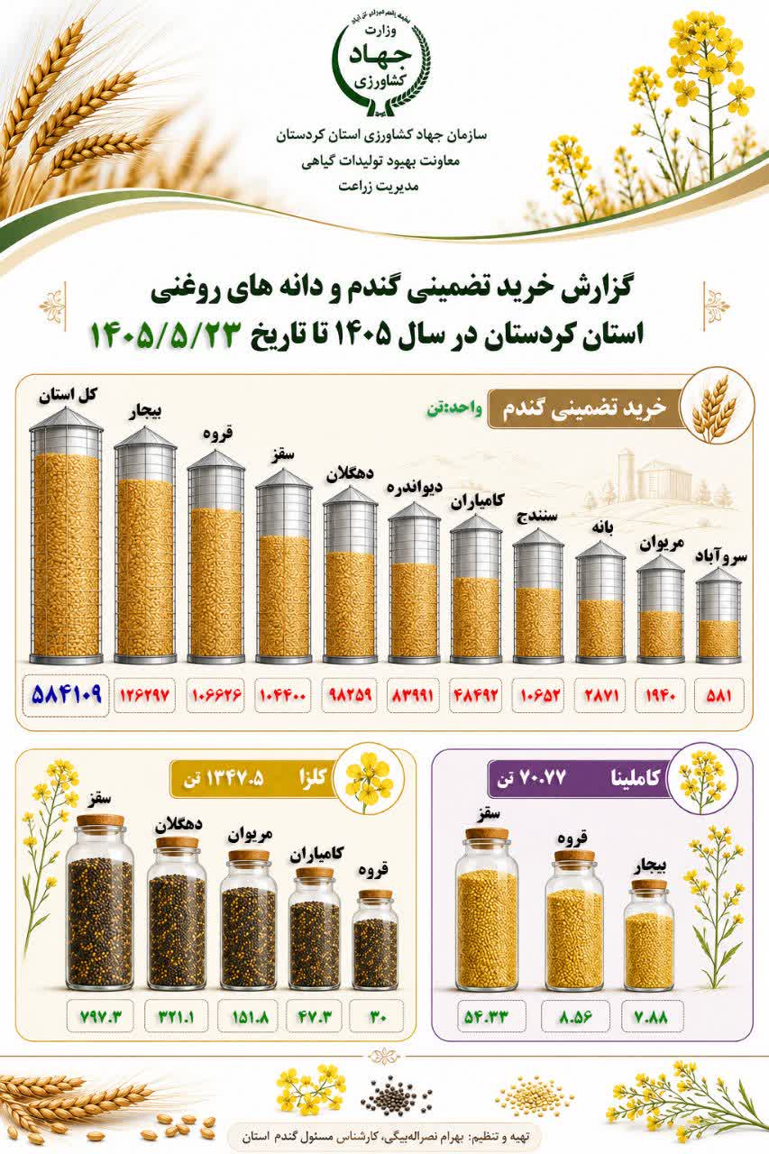 گزارش خرید تضمینی گندم و دانه های روغنی استان تا پایان ۲۳ مرداد ماه ۱۴۰۵